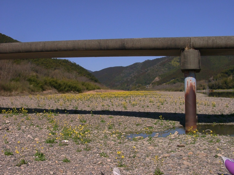 0703chinka.jpg (232295 �o�C�g)