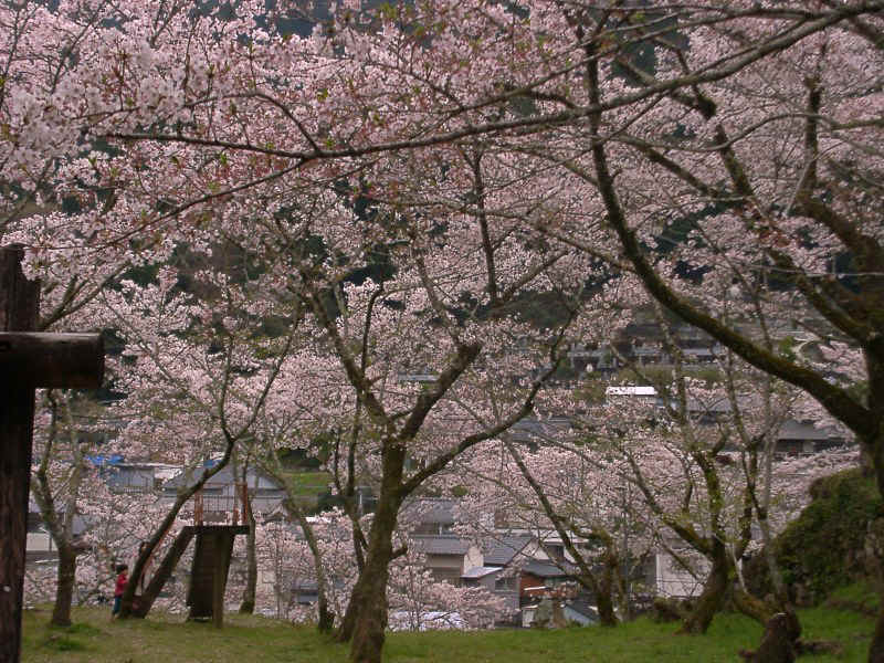 ���m���{�R���̍�